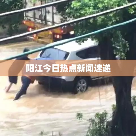 阳江今日热点新闻速递