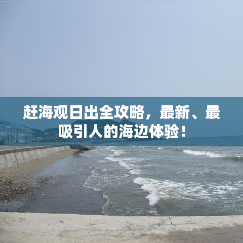 赶海观日出全攻略,最新、最吸引人的海边体验!