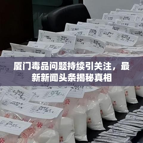 厦门毒品问题持续引关注，最新新闻头条揭秘真相