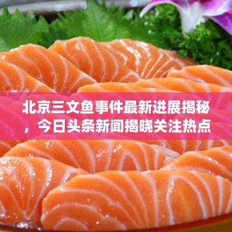 北京三文鱼事件最新进展揭秘,今日头条新闻揭晓关注热点