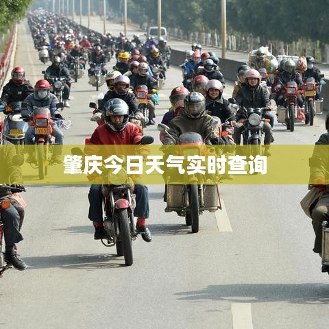 肇庆今日天气实时查询