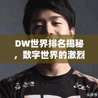 DW世界排名揭秘，数字世界的激烈排名之战！