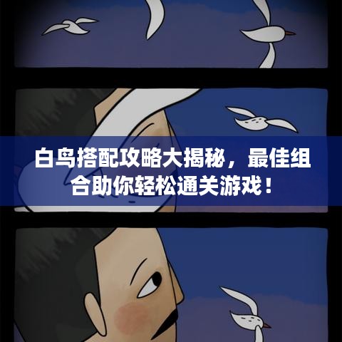 白鸟搭配攻略大揭秘，最佳组合助你轻松通关游戏！