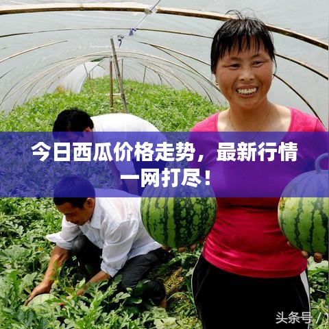 鸟语蝉鸣 第3页