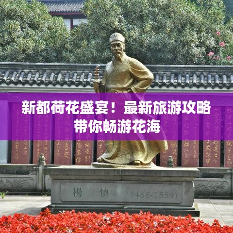 新都荷花盛宴!最新旅游攻略带你畅游花海