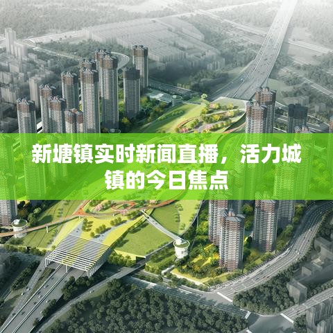 新塘镇实时新闻直播,活力城镇的今日焦点