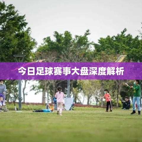 今日足球赛事大盘深度解析