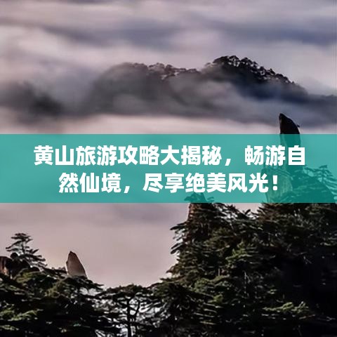 黄山旅游攻略大揭秘，畅游自然仙境，尽享绝美风光！