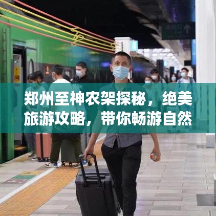 郑州至神农架探秘,绝美旅游攻略,带你畅游自然秘境!