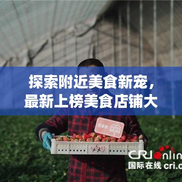 探索附近美食新宠,最新上榜美食店铺大揭秘