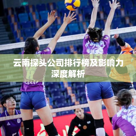 云南探头公司排行榜及影响力深度解析