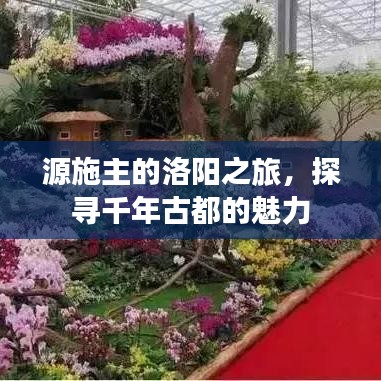 源施主的洛阳之旅，探寻千年古都的魅力