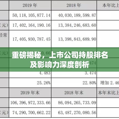 重磅揭秘,上市公司持股排名及影响力深度剖析