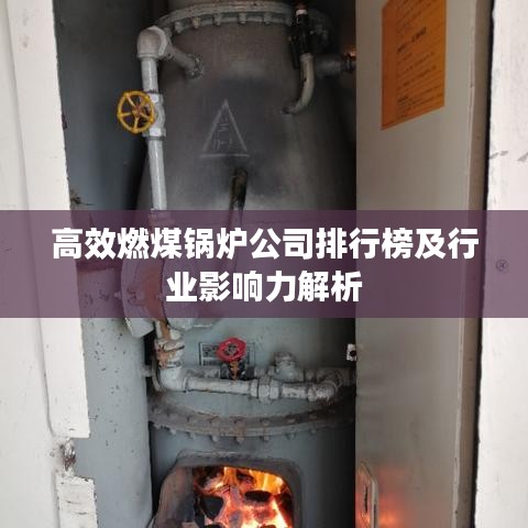 高效燃煤锅炉公司排行榜及行业影响力解析