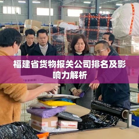 福建省货物报关公司排名及影响力解析
