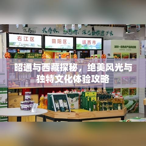 昭通与西藏探秘，绝美风光与独特文化体验攻略