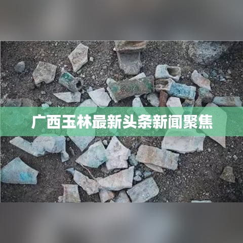 飞黄腾达 第3页