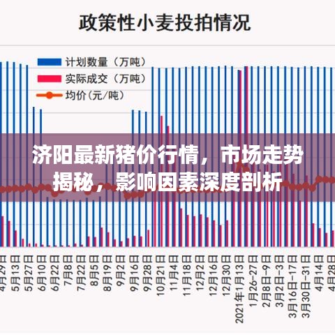 济阳最新猪价行情,市场走势揭秘,影响因素深度剖析