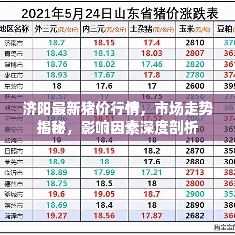 济阳最新猪价行情,市场走势揭秘,影响因素深度剖析
