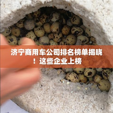 济宁商用车公司排名榜单揭晓！这些企业上榜