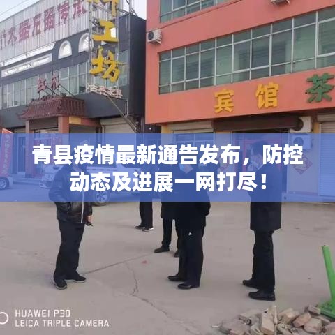 青县疫情最新通告发布,防控动态及进展一网打尽!