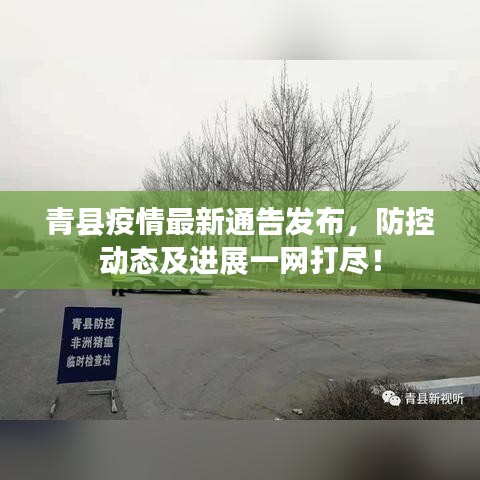 青县疫情最新通告发布,防控动态及进展一网打尽!