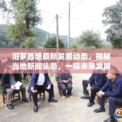 惊弓之鸟 第4页