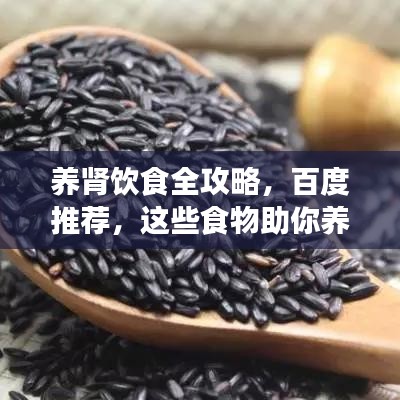 养肾饮食全攻略,百度推荐,这些食物助你养肾!