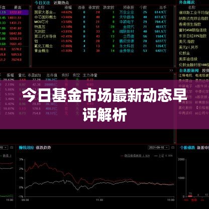今日基金市场最新动态早评解析