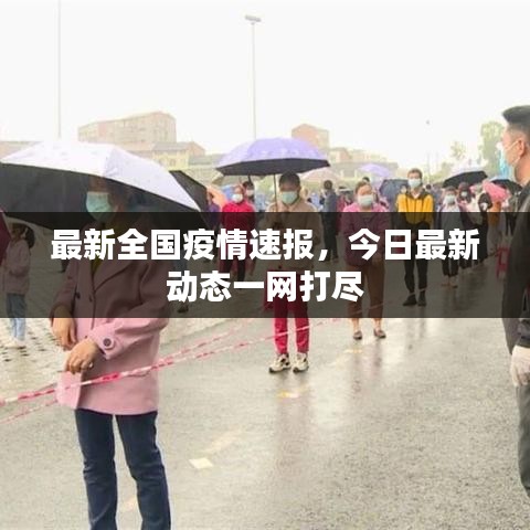 最新全国疫情速报,今日最新动态一网打尽