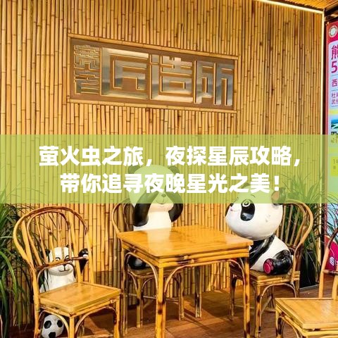 萤火虫之旅,夜探星辰攻略,带你追寻夜晚星光之美!
