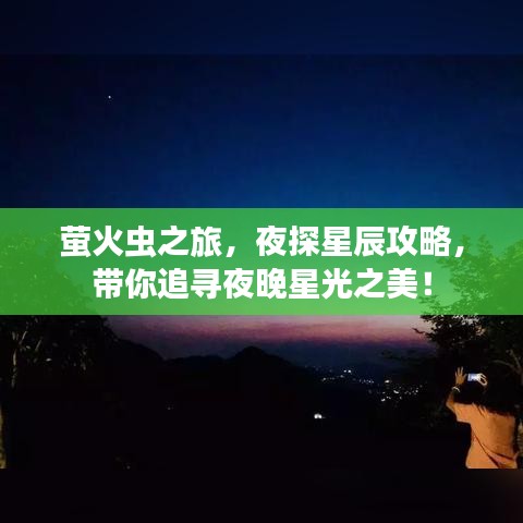 萤火虫之旅,夜探星辰攻略,带你追寻夜晚星光之美!