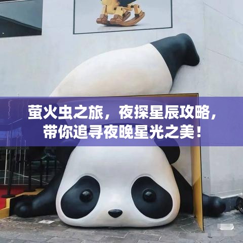 萤火虫之旅,夜探星辰攻略,带你追寻夜晚星光之美!