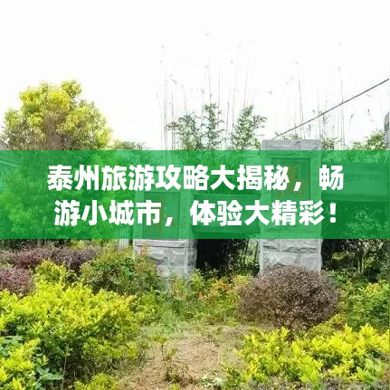 泰州旅游攻略大揭秘，畅游小城市，体验大精彩！