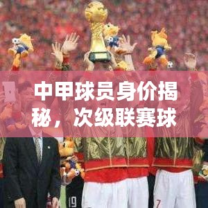 中甲球员身价揭秘，次级联赛球员价值大揭秘！