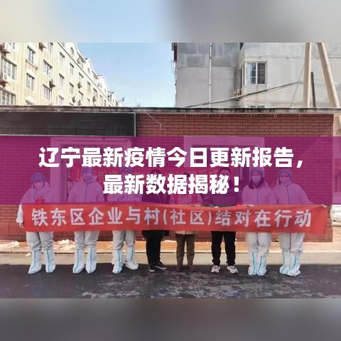 辽宁最新疫情今日更新报告,最新数据揭秘!