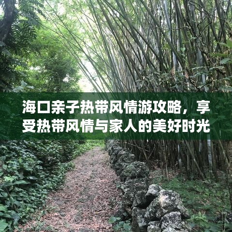 海口亲子热带风情游攻略，享受热带风情与家人的美好时光