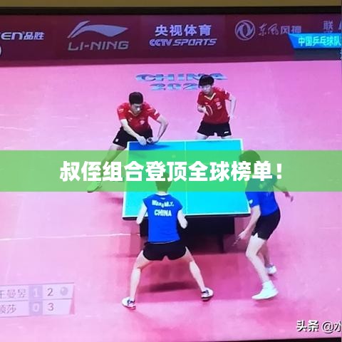 叔侄组合登顶全球榜单!