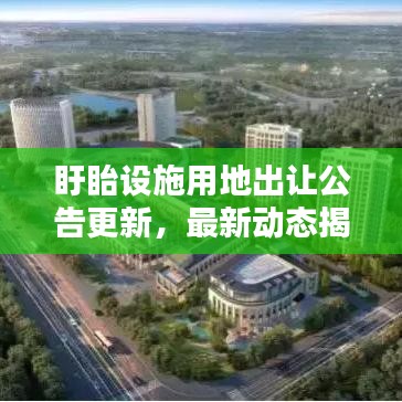 盱眙设施用地出让公告更新,最新动态揭秘!