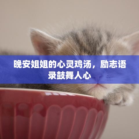 晚安姐姐的心灵鸡汤,励志语录鼓舞人心