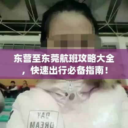 东营至东莞航班攻略大全,快速出行必备指南!