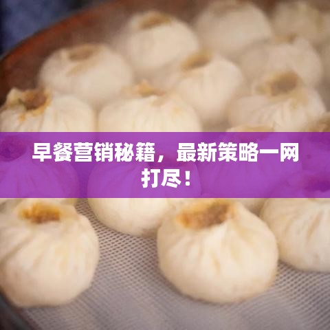 早餐营销秘籍,最新策略一网打尽!