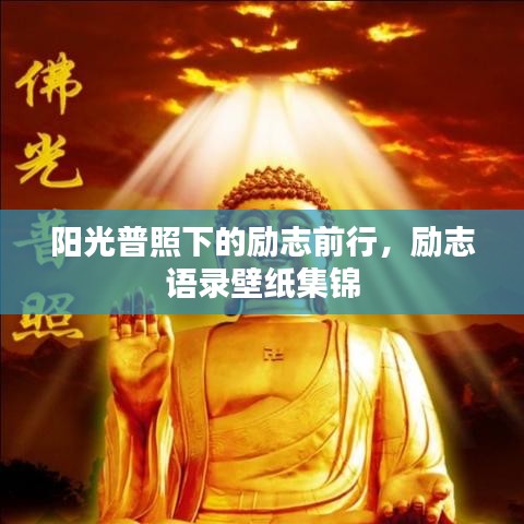 阳光普照下的励志前行，励志语录壁纸集锦