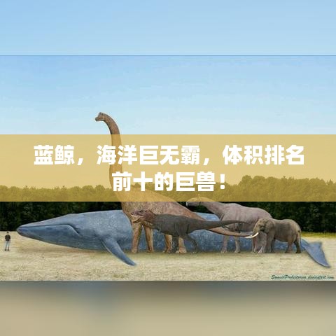 蓝鲸,海洋巨无霸,体积排名前十的巨兽!