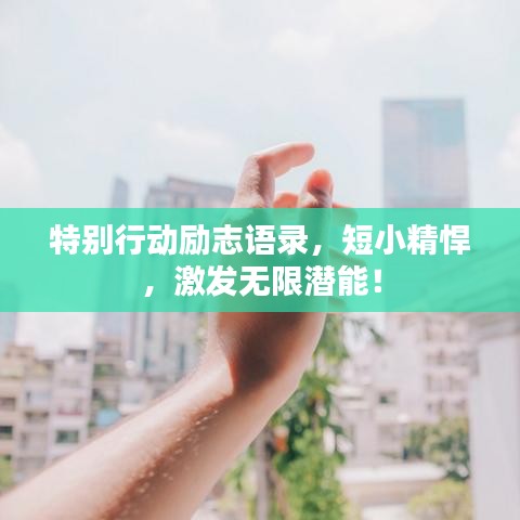 特别行动励志语录,短小精悍,激发无限潜能!