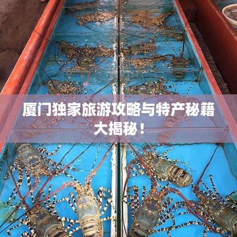 厦门独家旅游攻略与特产秘籍大揭秘！