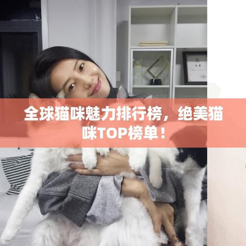 全球猫咪魅力排行榜,绝美猫咪TOP榜单!