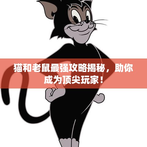 猫和老鼠最强攻略揭秘，助你成为顶尖玩家！
