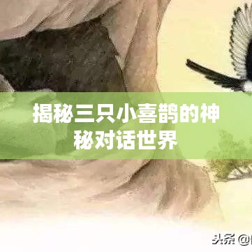 揭秘三只小喜鹊的神秘对话世界