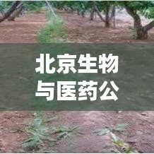 北京生物与医药公司权威排名揭晓